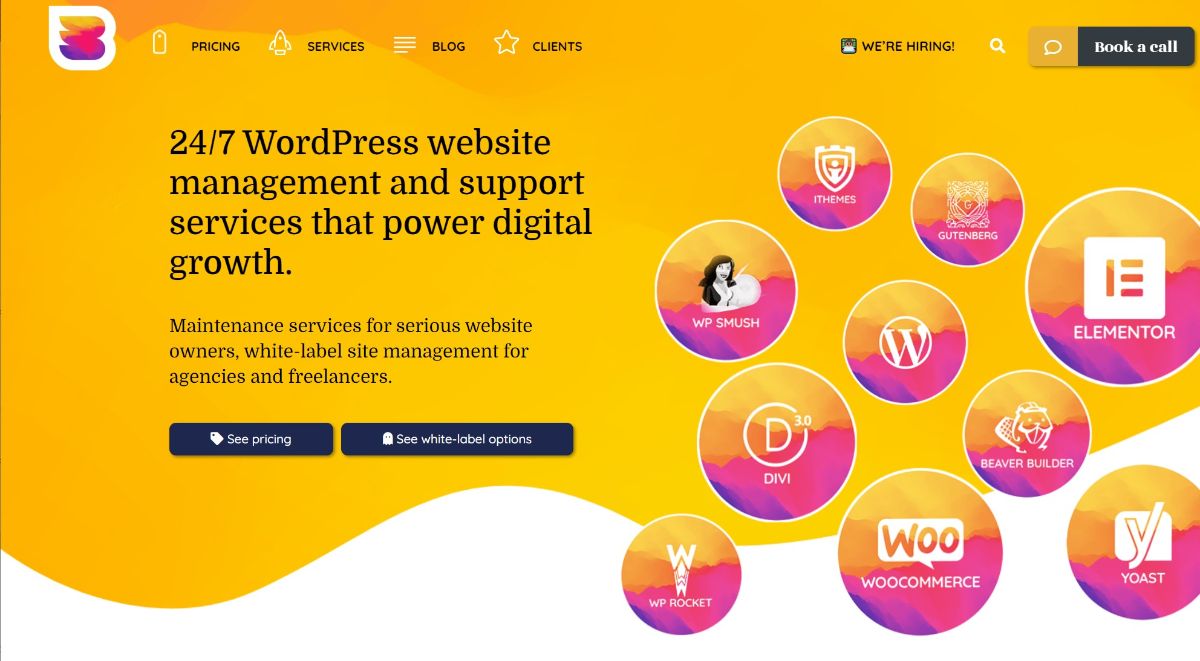 WP Buffs is one of the best WordPress maintenance services