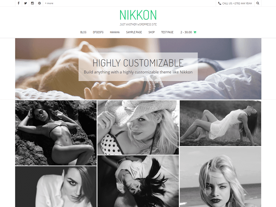 nikkon free photography theme