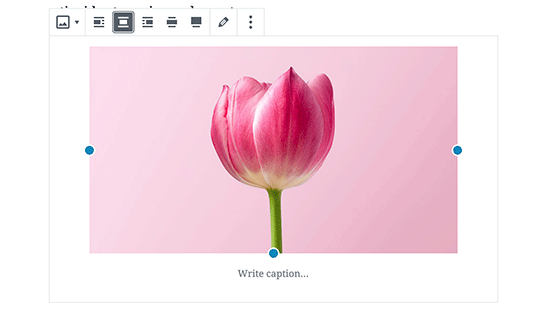 Center align an image in WordPress