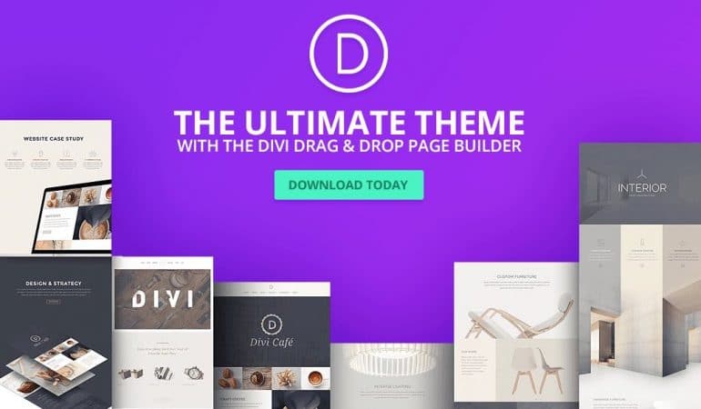 divi theme for freelancers