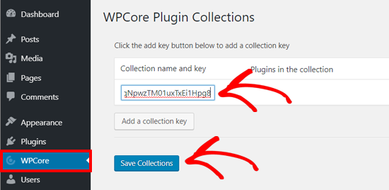 Save WPCore Plugin Collection Key on WordPress
