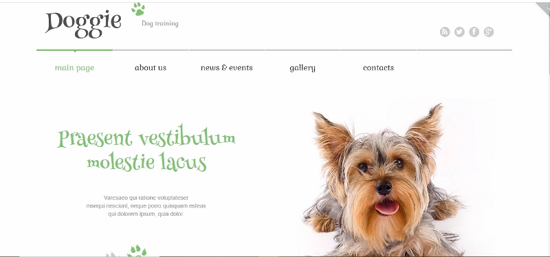 dog WordPress theme