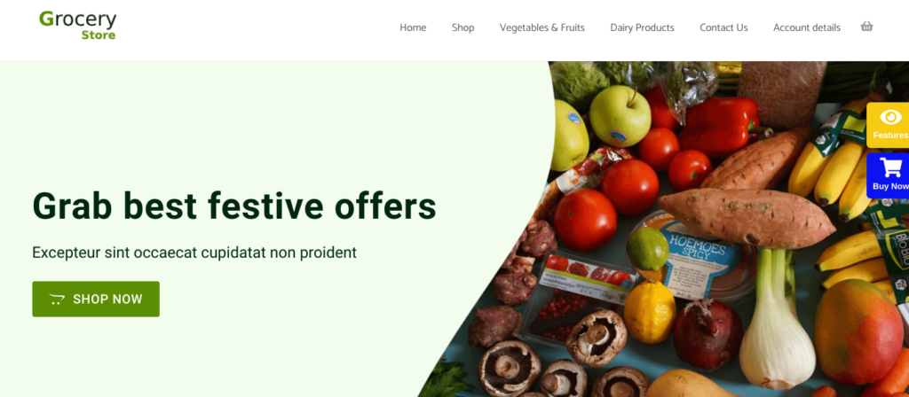 Groceries Store elementor template