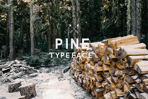 Pine Typeface Monospaced Font