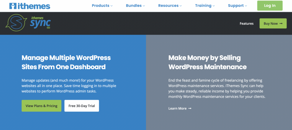 Screenshot of iThemes Sync WordPress plugin home page