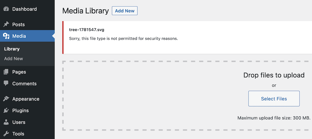 A WordPress dashboard showing an SVG error.