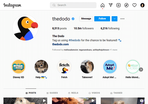 thedodo instagram profile