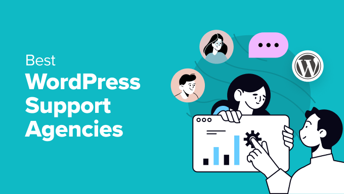 WordPress support agencies