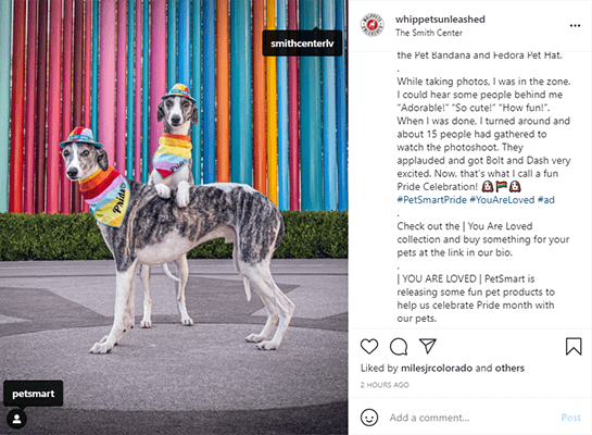 PetSmart Instagram sponsored post example
