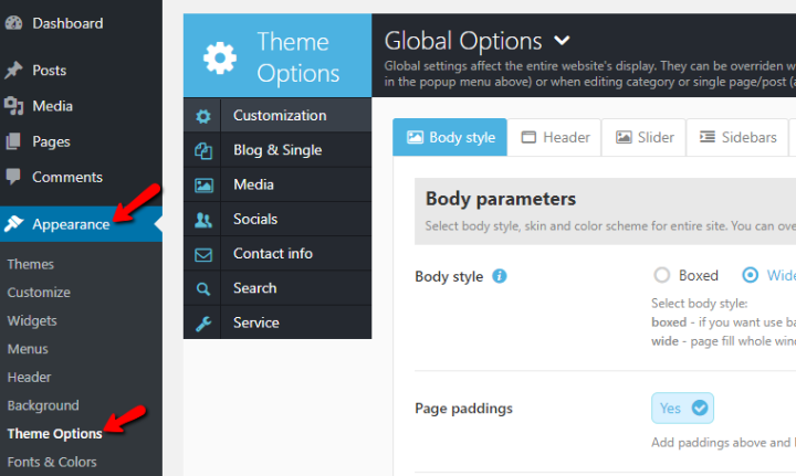 an example of a custom theme options panel