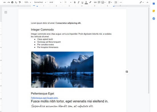The Google Doc with the text we're going to copy
