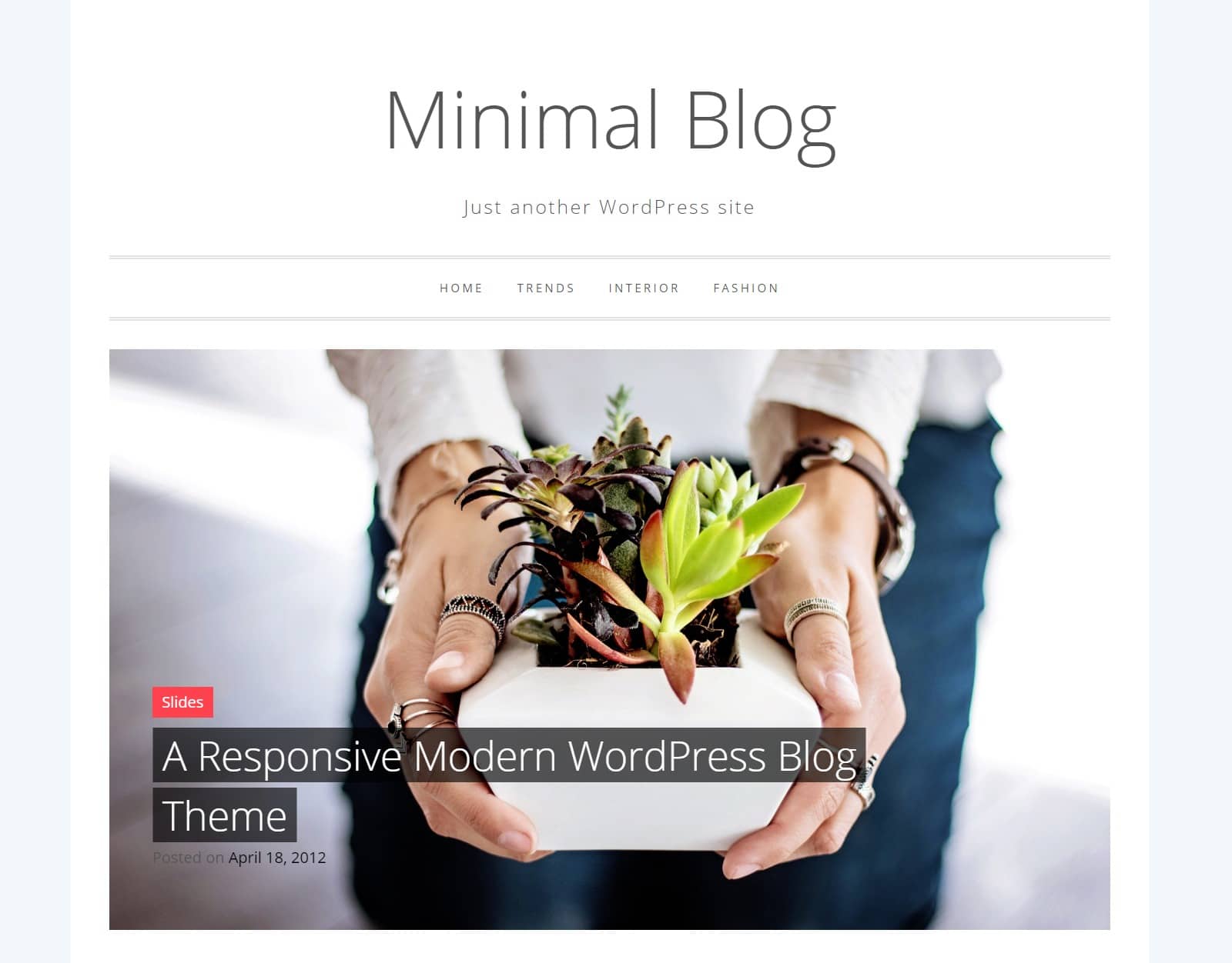 minimal blog lite wordpress theme