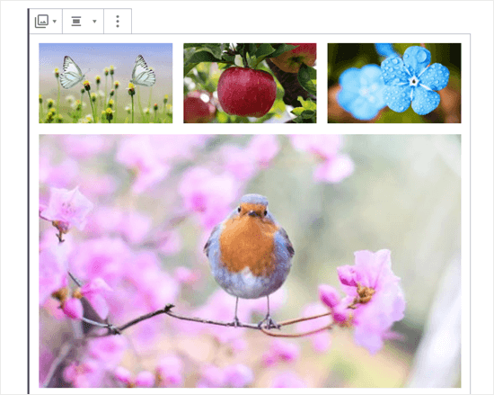 Four images in the gallery (butterflies, apple, blue flowers, and robin)