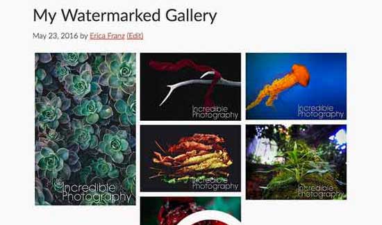 Watermark images to discourage image theft