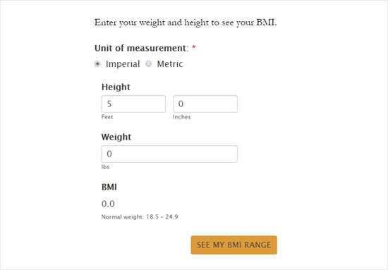 The BMI calculator form with the new styles applied