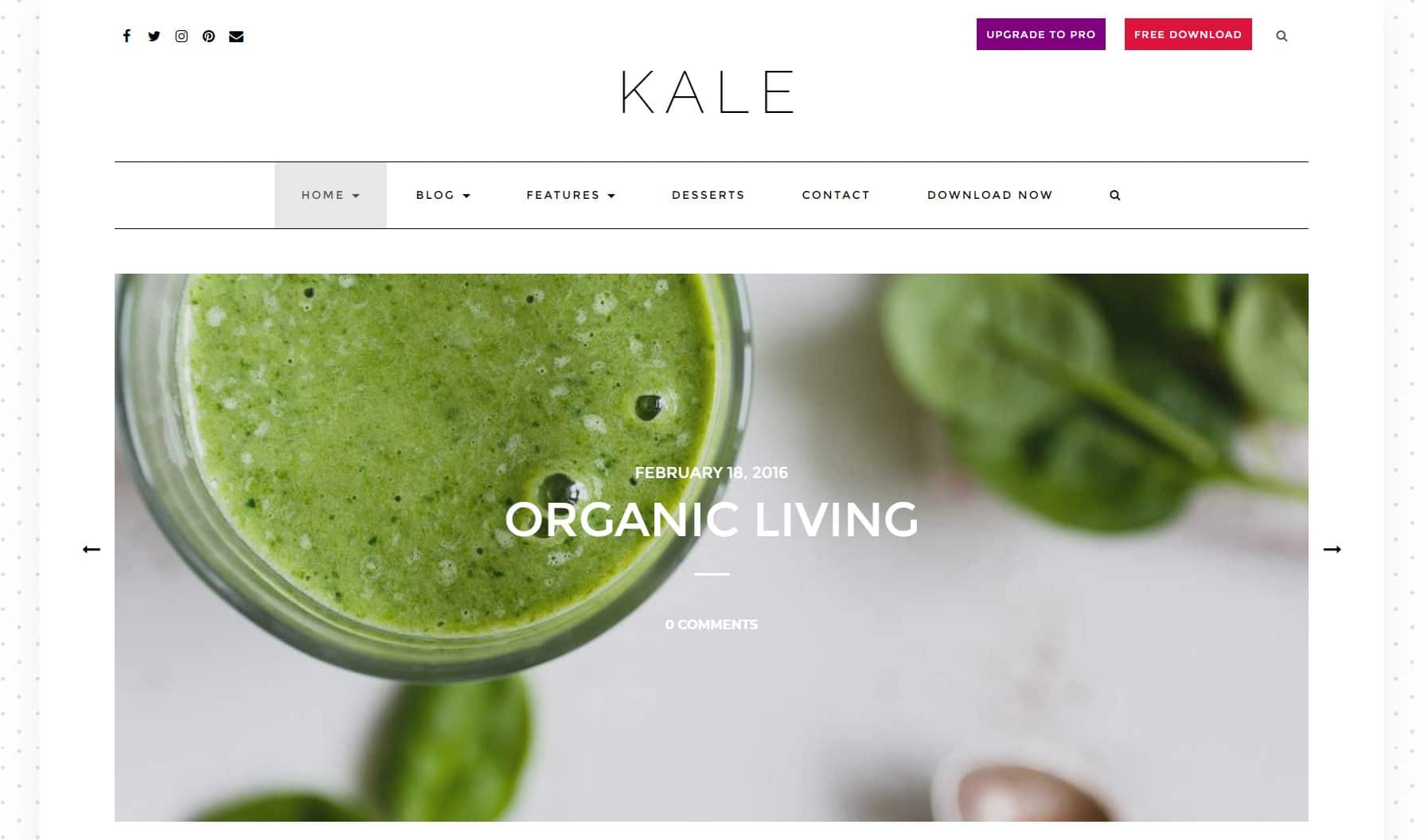 Kale minimal WordPress theme
