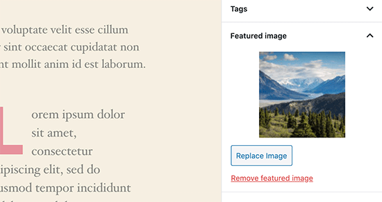 Featured image preview in post editor