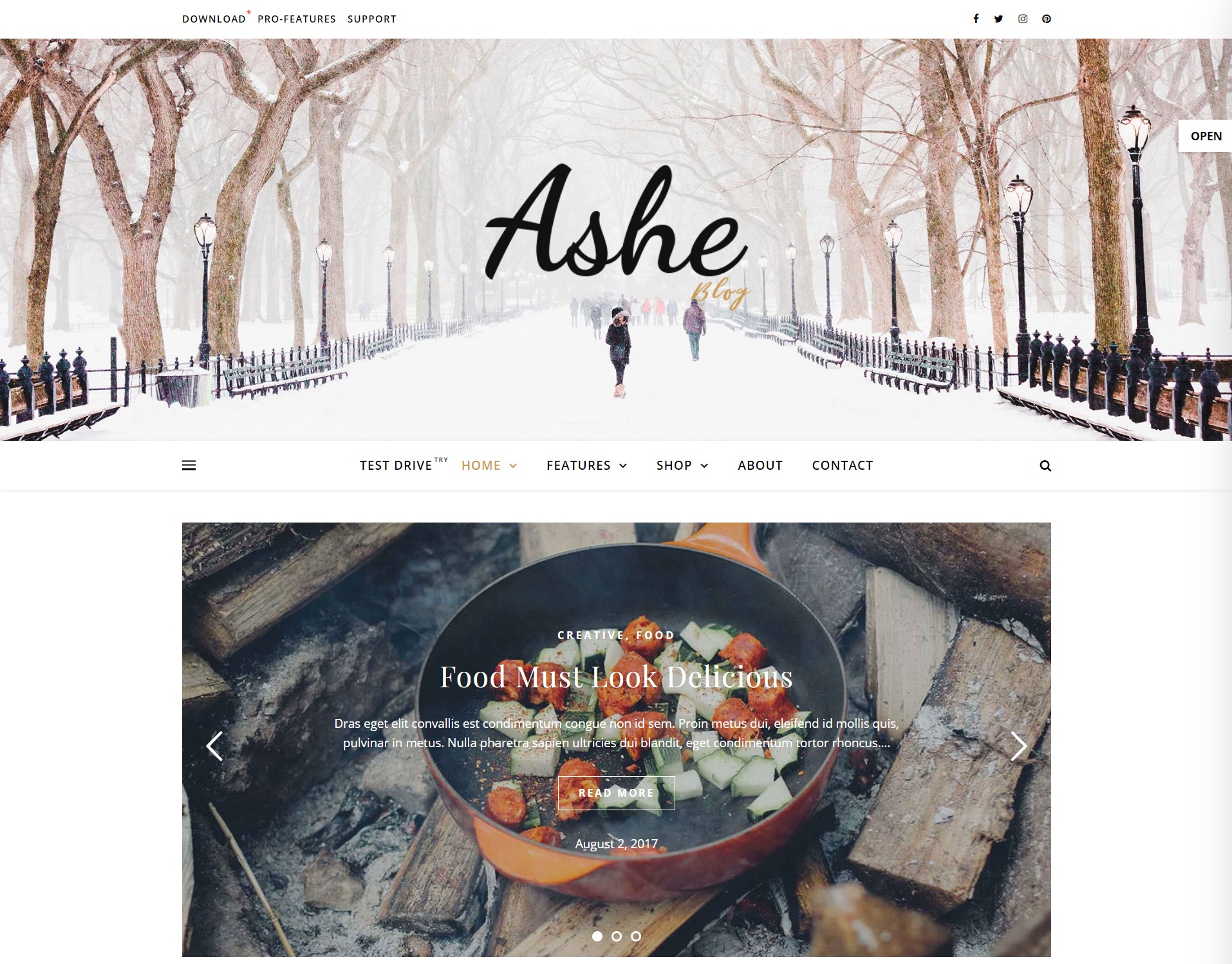 ashe clean wordpress theme