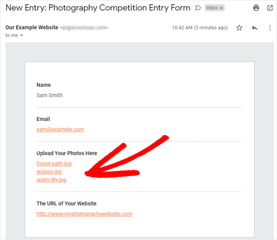 The email you receive with the form entry details, including file download links