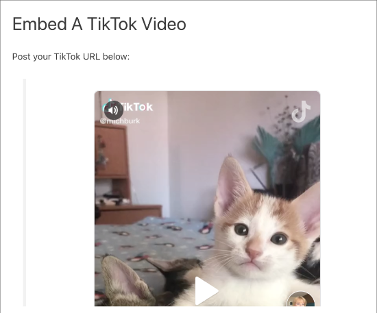 Embedded TikTok video