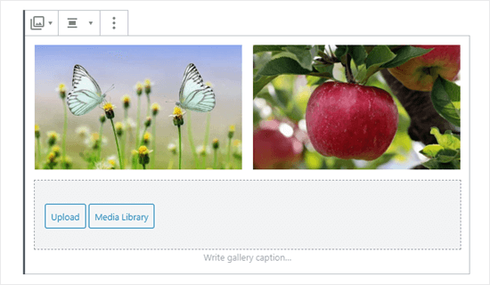 Two images in the gallery (butterflies and apple)