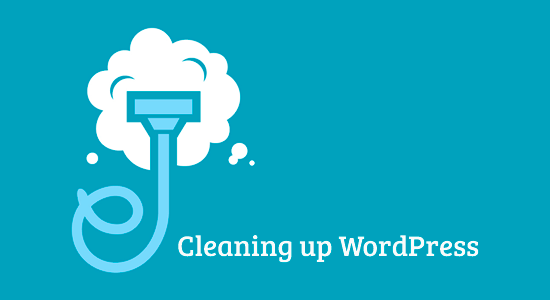 Cleanup WordPress