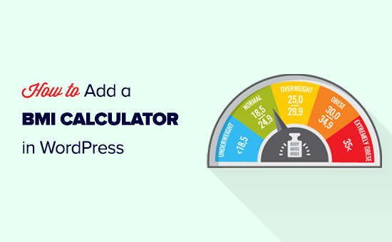 Adding a BMI calculator to your WordPress website