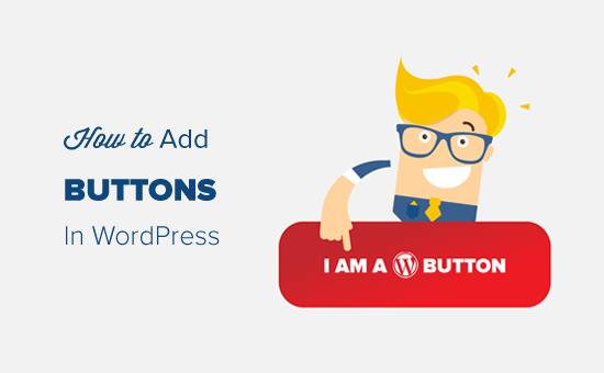 Adding Buttons in WordPress Step by Step