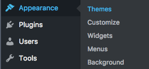 WP Admin Appearance Themes