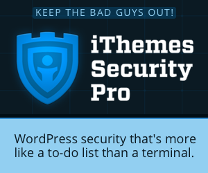 iThemes The Best WordPress Security Plugin to Secure & Protect WordPress