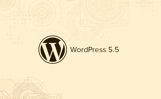 What's coming in WordPress 5.5 with features and screenshots